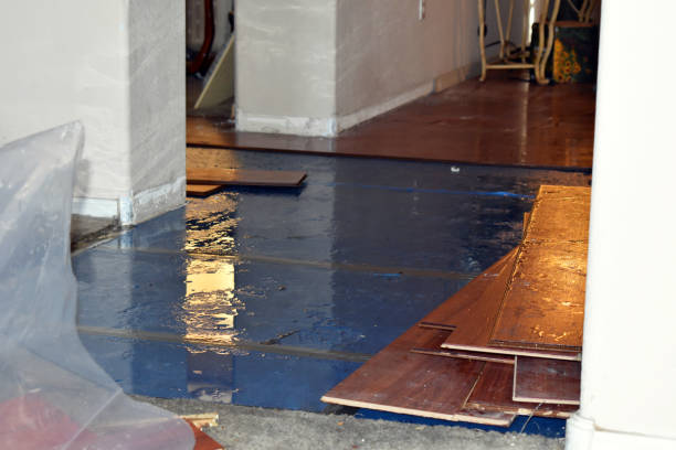 Professional Burst Pipe Cleanup technician working in Midfield, TX